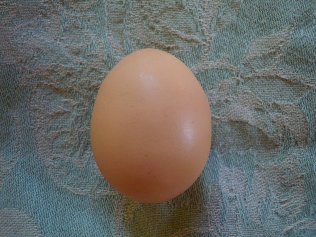 misshapen chicken eggs